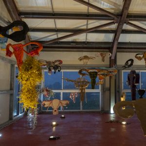 Vue panoramique de l’installation Hystérie Collective