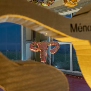 Les créations "La Matrice" et "La Fillette" lors de la restitution de l'installation Hystérie Collective