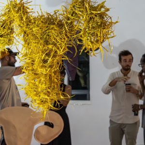 Public découvrant l’intégralité de l’installation Hystérie Collective à Karukera