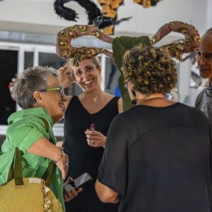 Restitution Hystérie Collective à Karukera – public découvrant l’installation