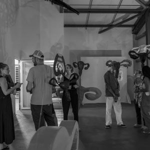 échange avec les artistes Hystérie Collective