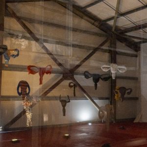 Vue générale de l’installation immersive Hystérie Collective à Karukera avec le public découvrant l’ensemble des œuvres
