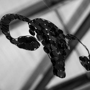 Installation « La Fracture » à Karukera – Hystérie Collective