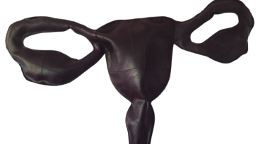 L'Emancipée - fond transparent
