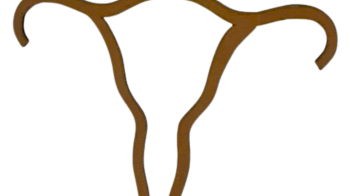 Utérus logo d'Hystérie Collective, pièce maîtresse de l'installation artistique féministe