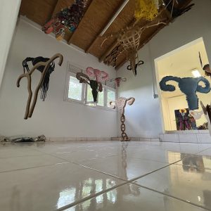 Vue d'ensemble de l'installation Hystérie Collective à l'exposition Cri de Femmes, galerie Emergenc'Art – photo 8
