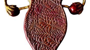 MartineBaker_luterusberceauetlabyrinthe_hystériecollective