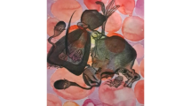 HystérieCollective_NeftaPoetry_2024_june2026